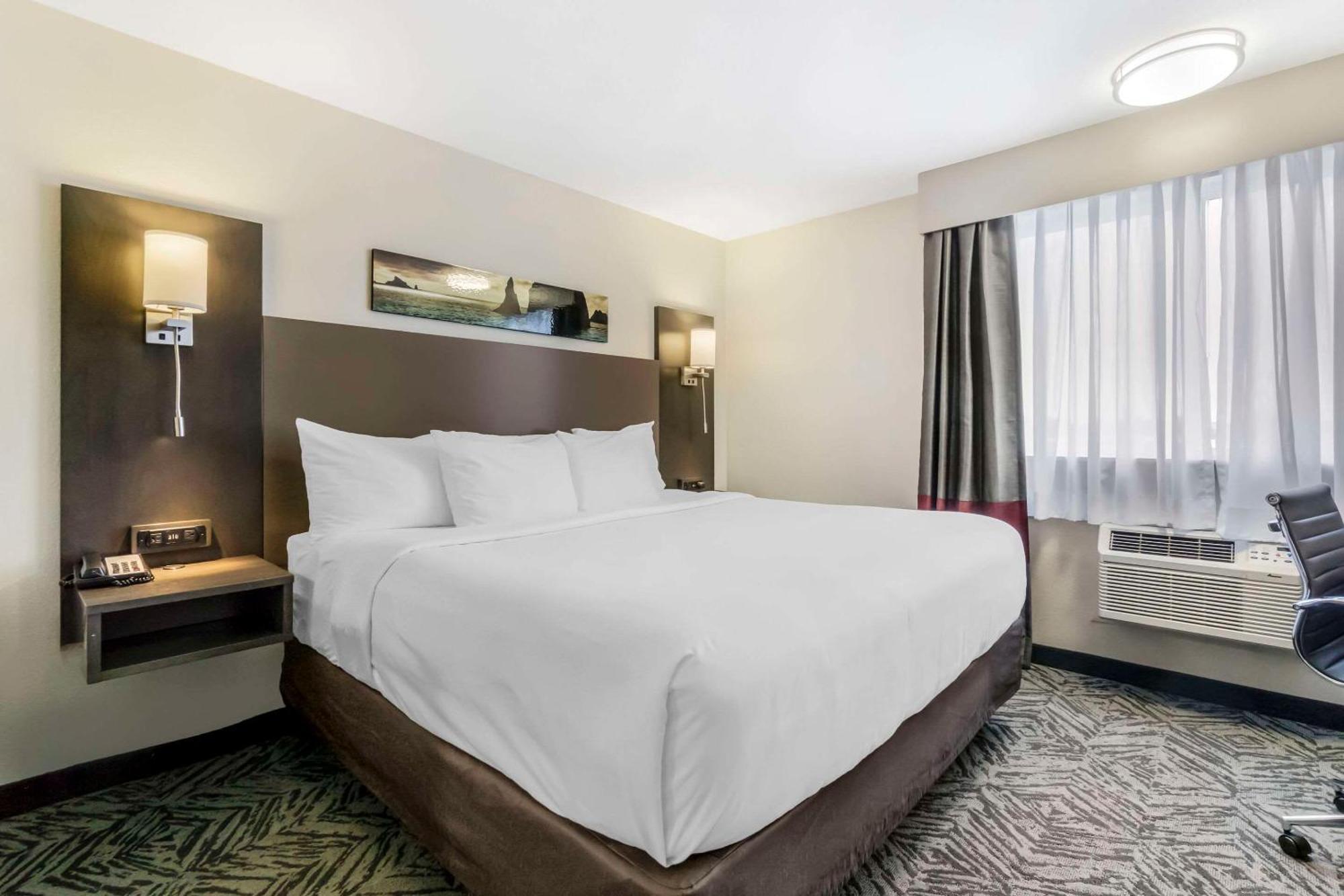 Comfort Inn & Suites Pacific - Auburn Exteriér fotografie